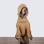 big-dog-clothing-casual-hoodie