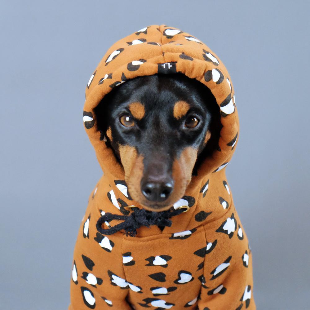 dog-clothing-wild-child-dog-hoodie