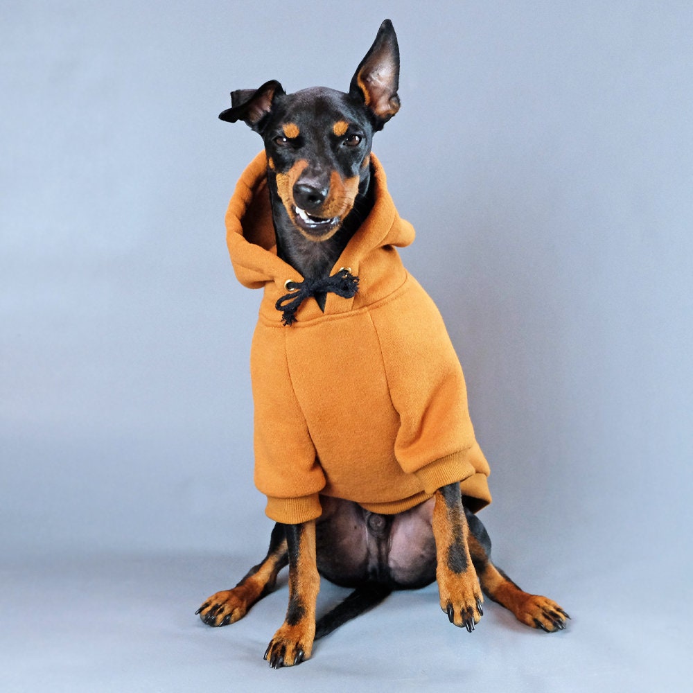 dog hoodies