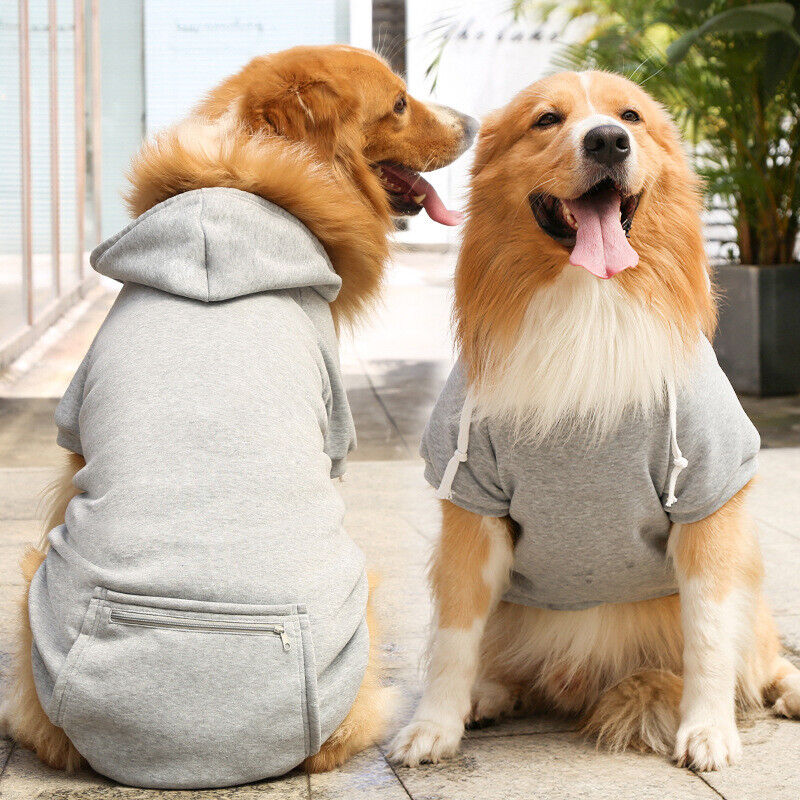 dog hoodies