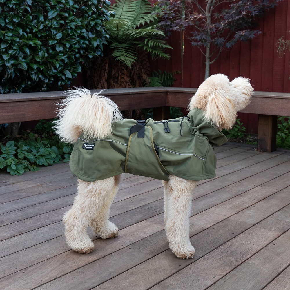 dog jacket