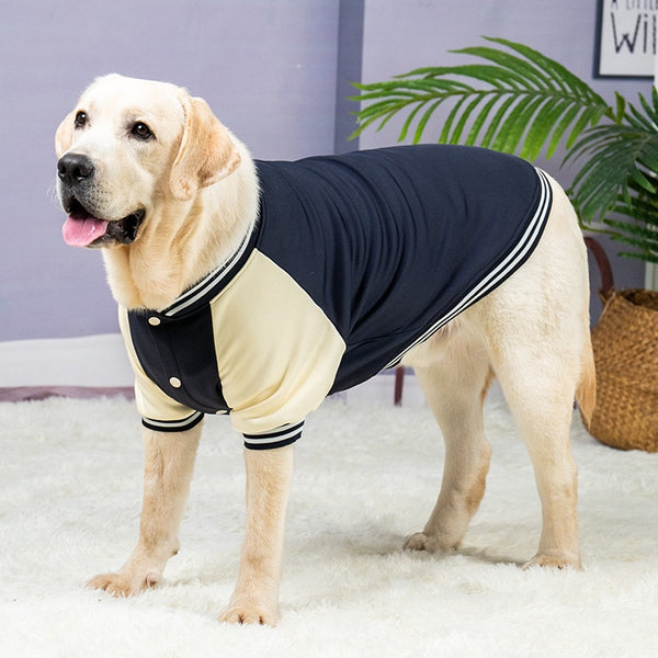 dog jacket