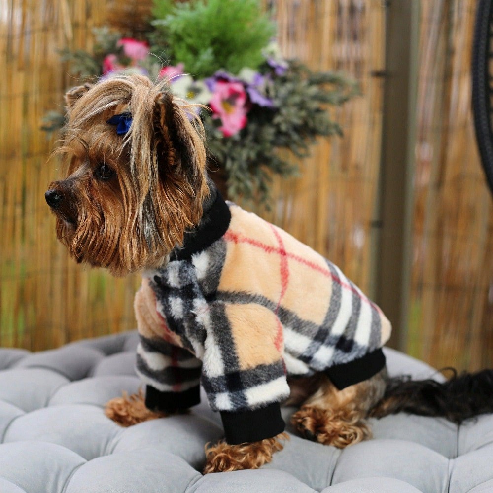 dog jacket