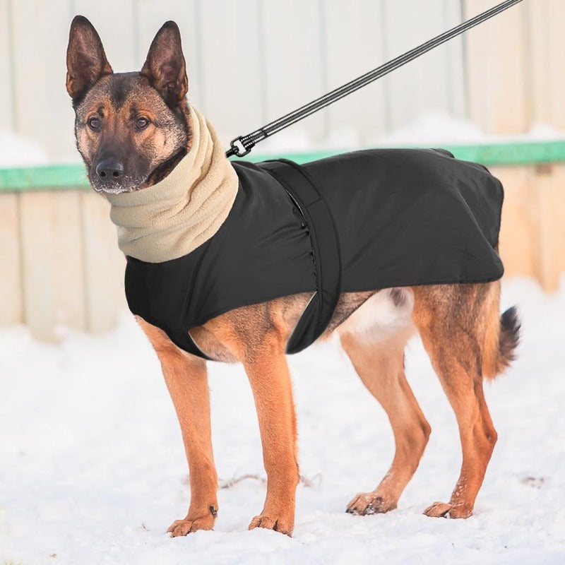 dog jacket