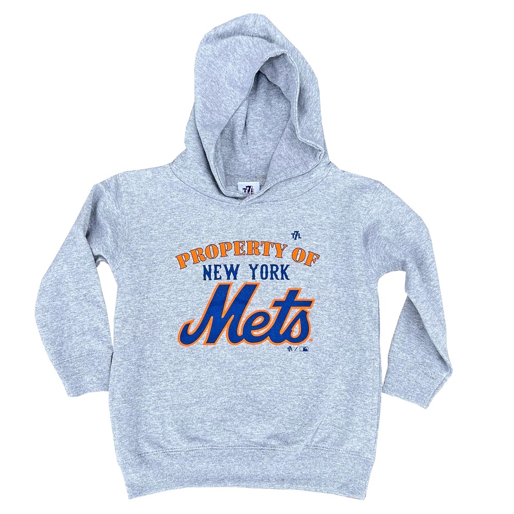 toddler hoodies