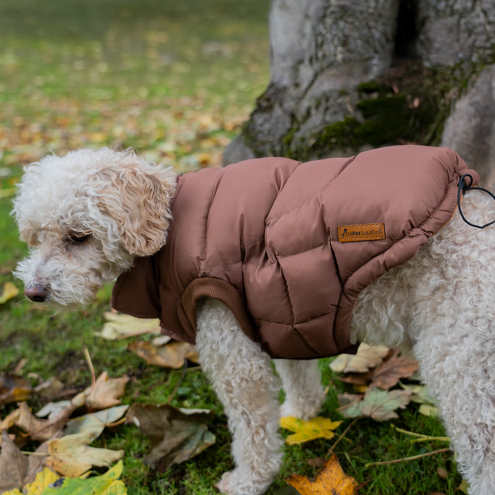 dog puffer jacket