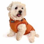dog puffer jacket