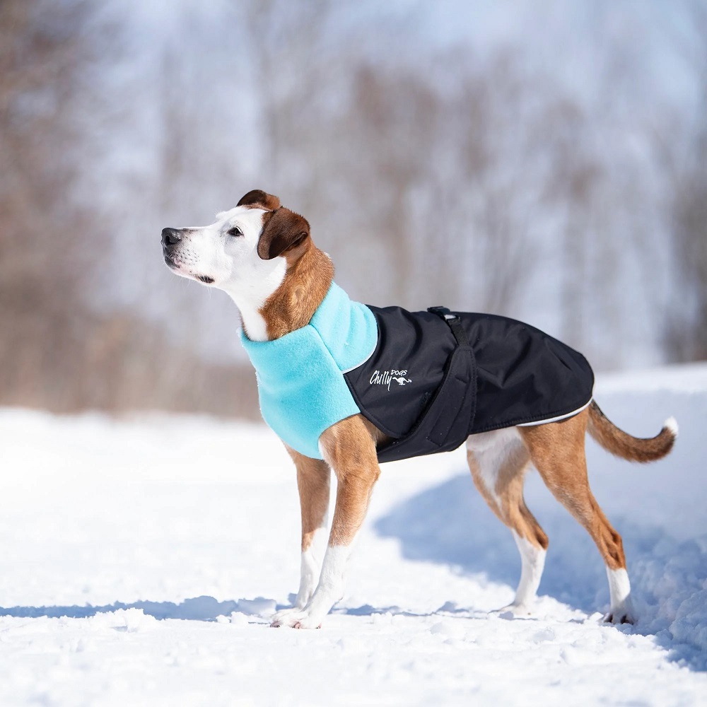 dog puffer jacket