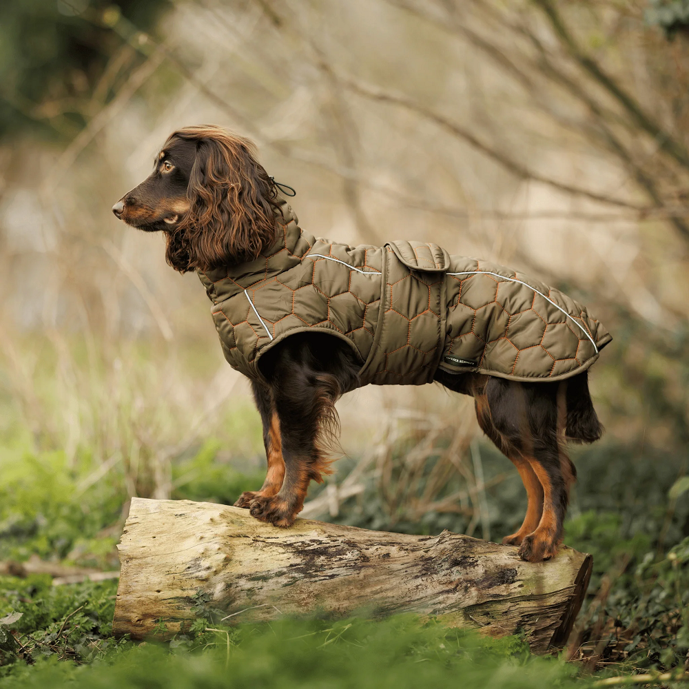 dog puffer jacket