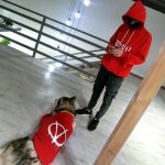 matching dog and owner hoodies