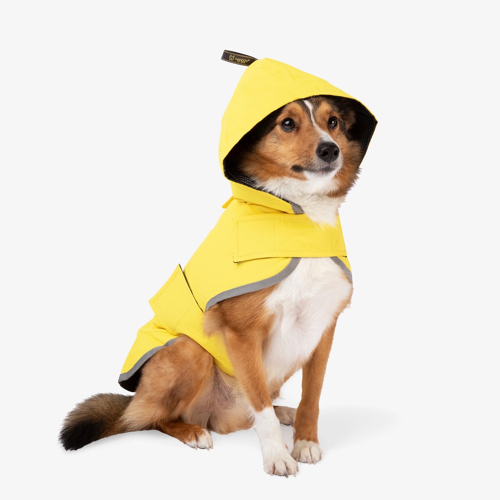 rain coat for dogs