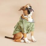 waterproof dog coat