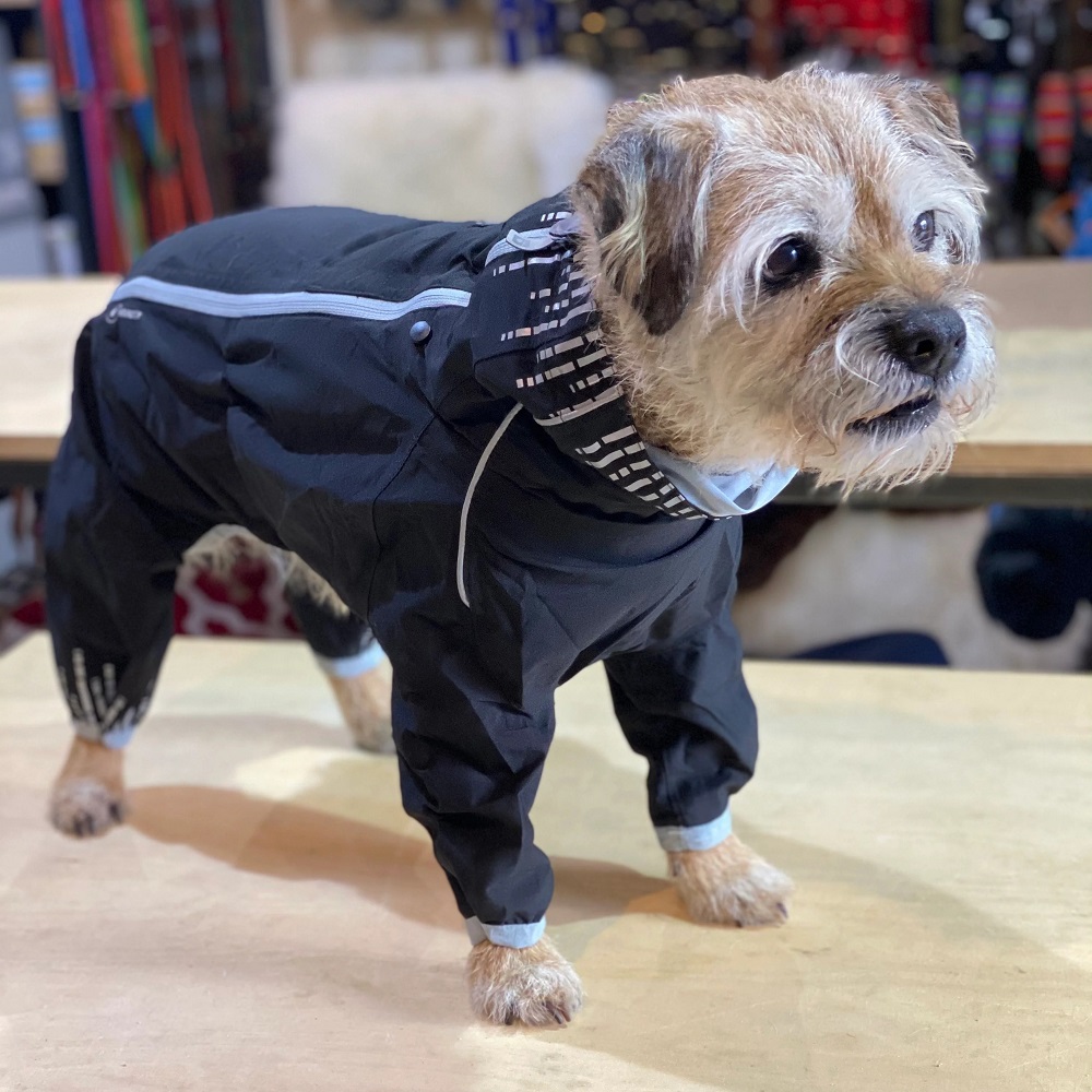 rain coat for dogs