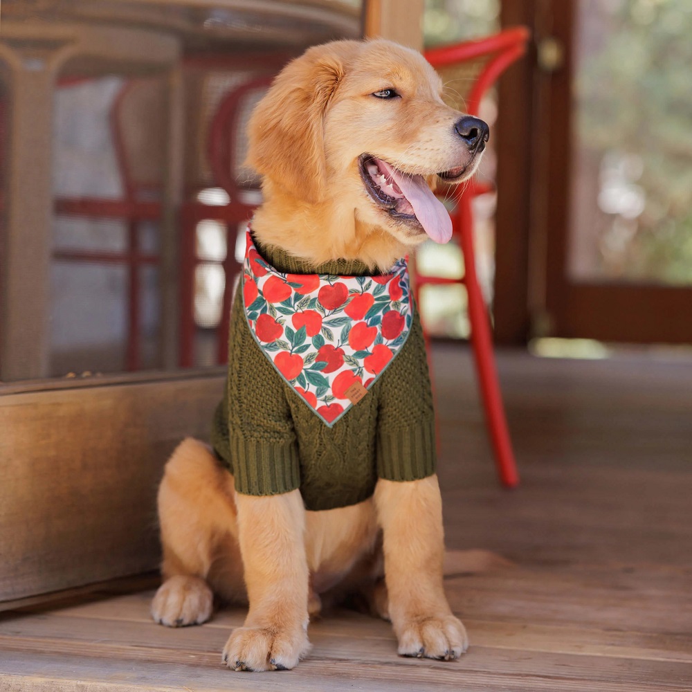 christmas dog sweater