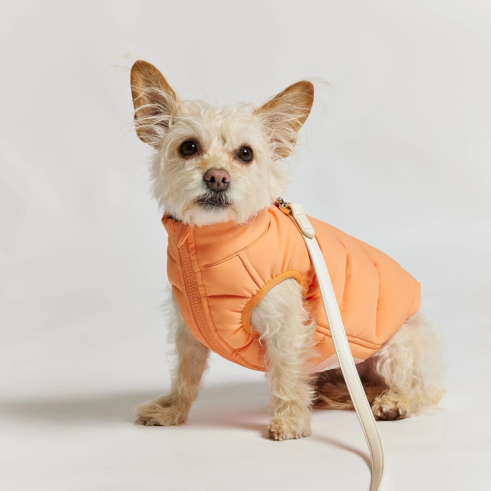 dog puffer jacket