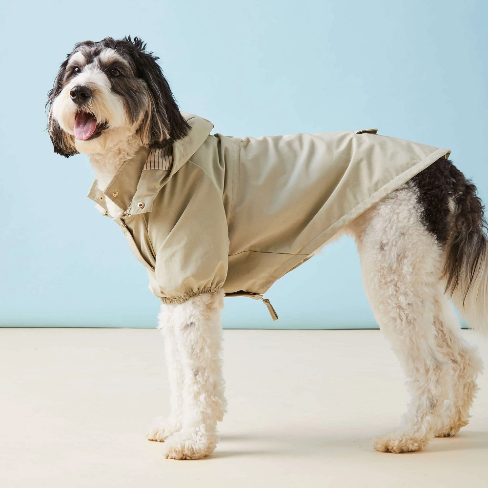 rain coat for dogs