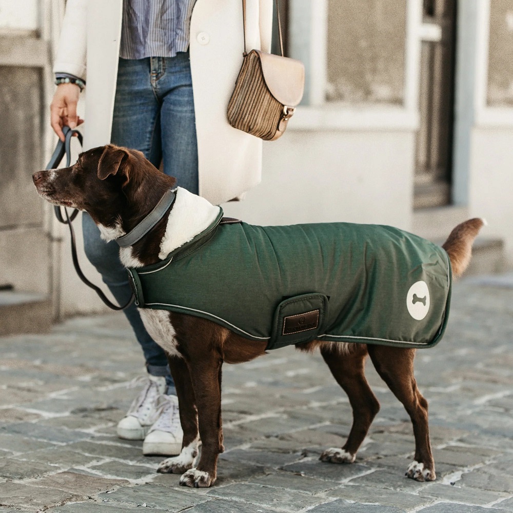 waterproof dog coat