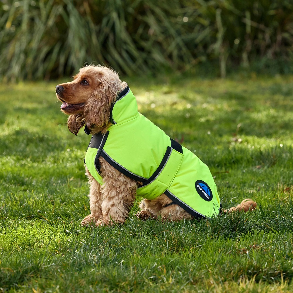 waterproof dog coat