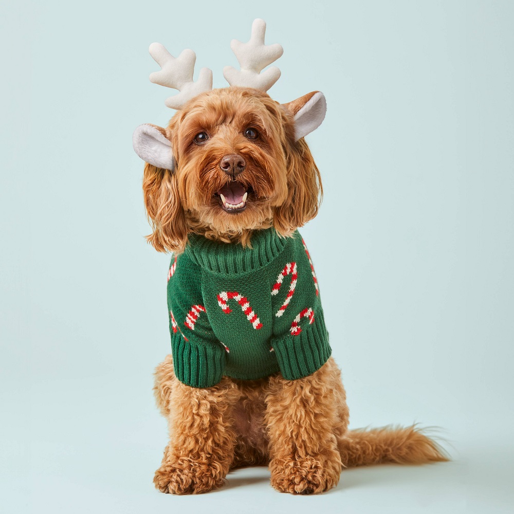 christmas dog sweater