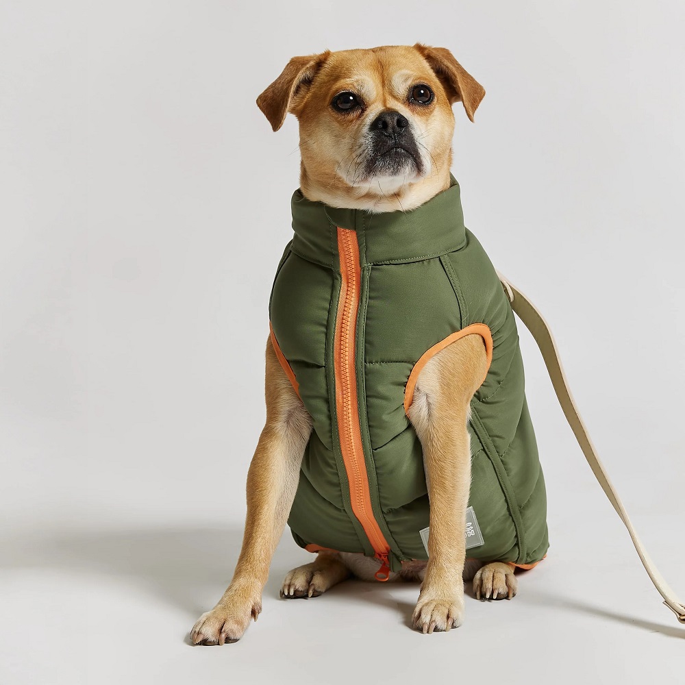 dog puffer jacket