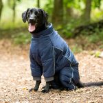 full-body dog winter coat