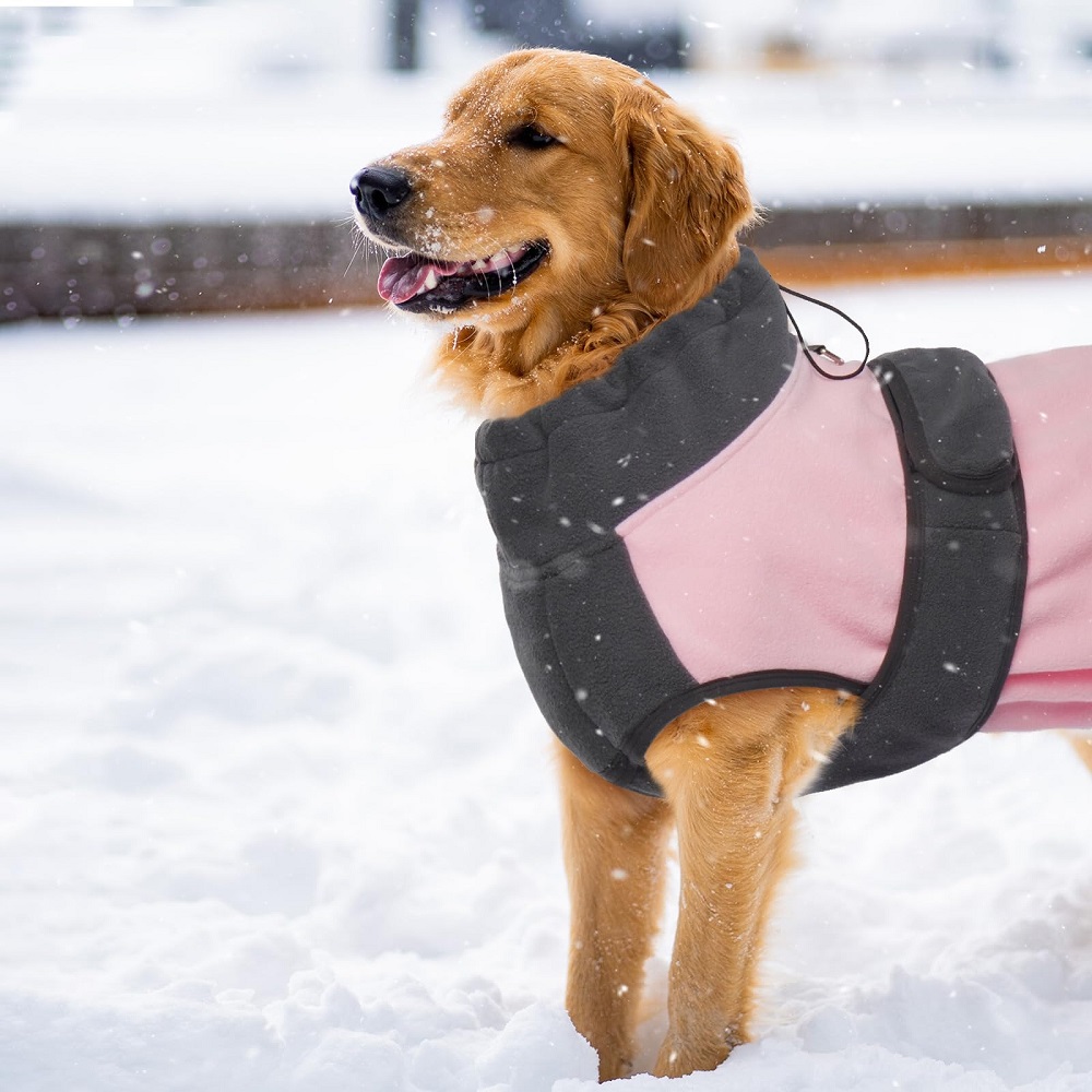 full-body dog winter coat