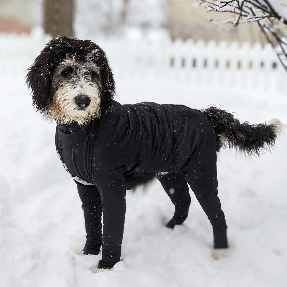 full-body dog winter coat