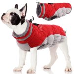 winter coat for dogs