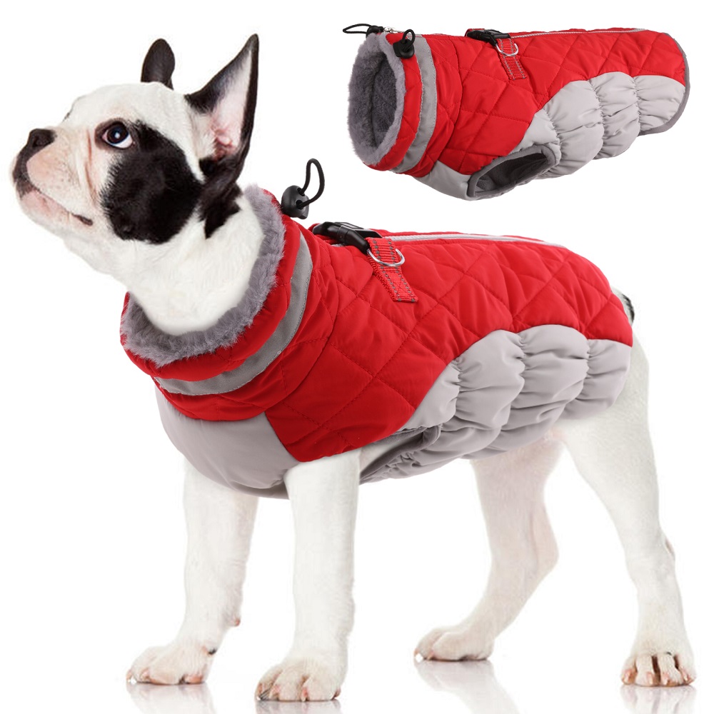 winter coat for dogs