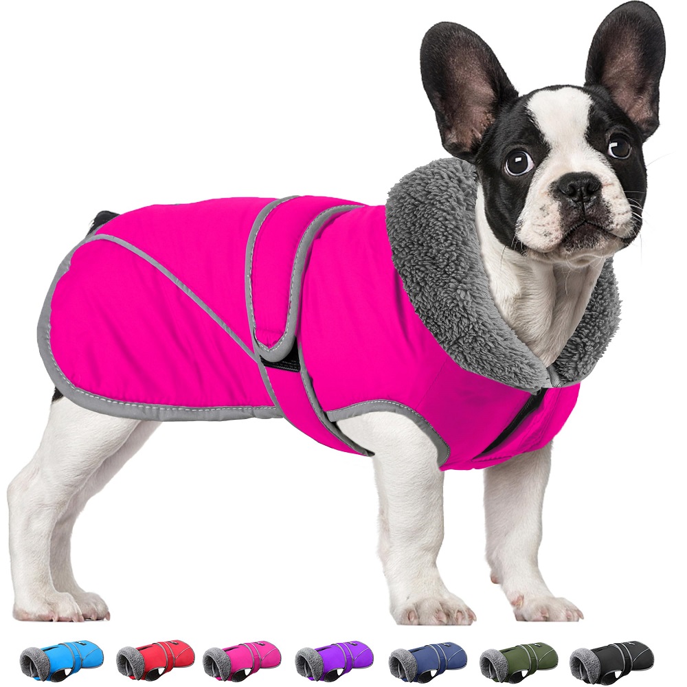 winter coat for dogs