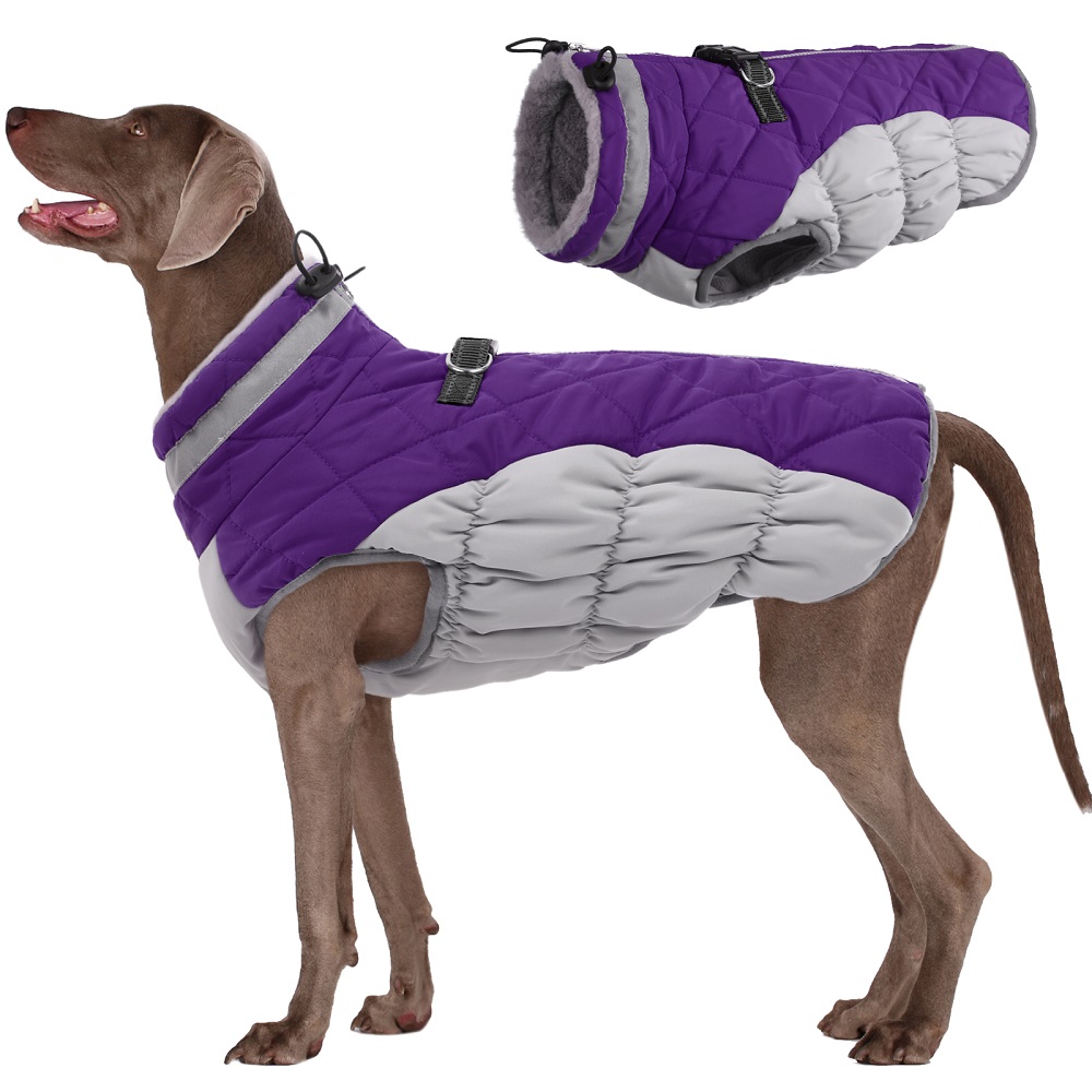 winter coat for dogs