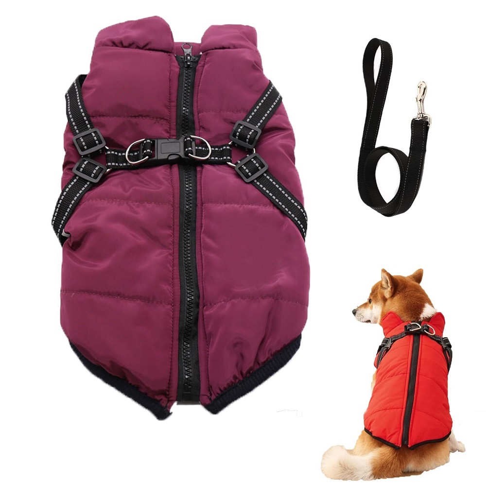 winter coat for dogs