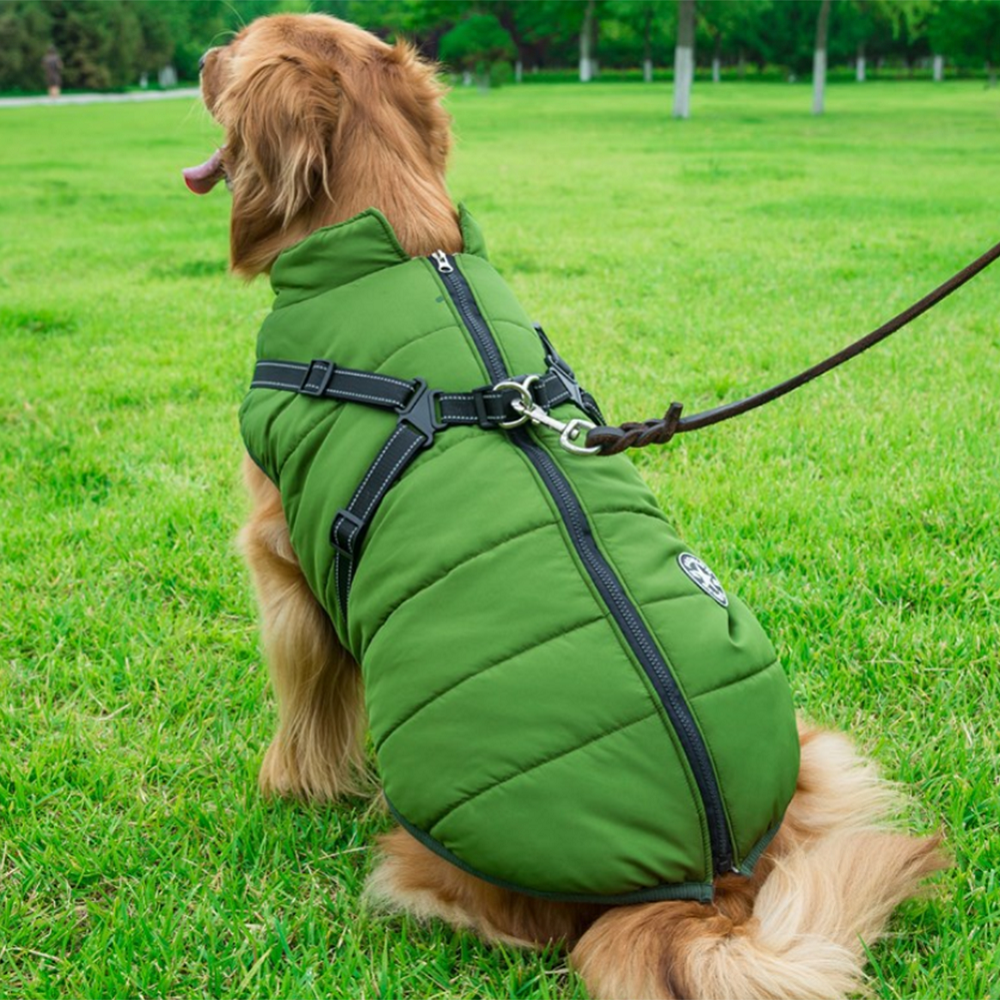 winter coat for dogs