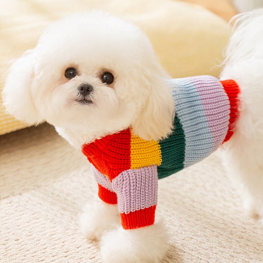 small dog sweaters