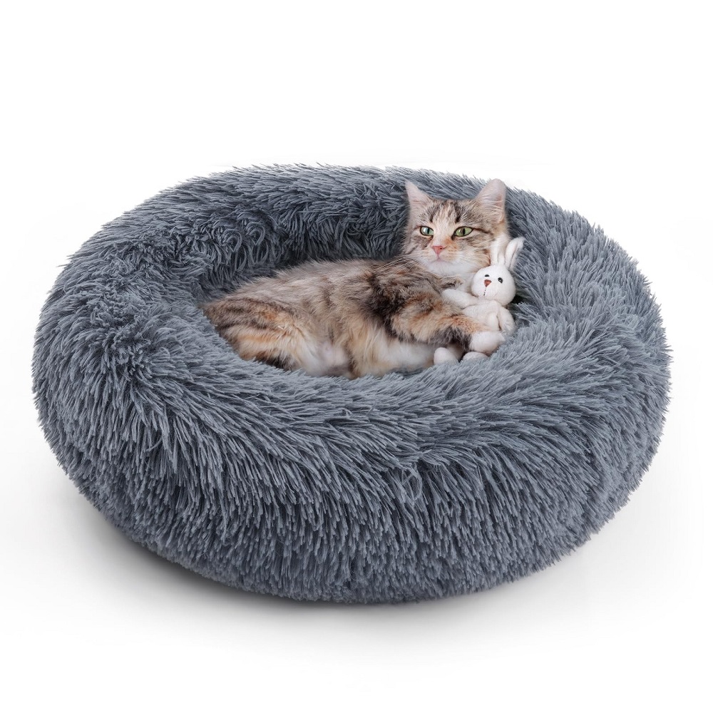 cat beds