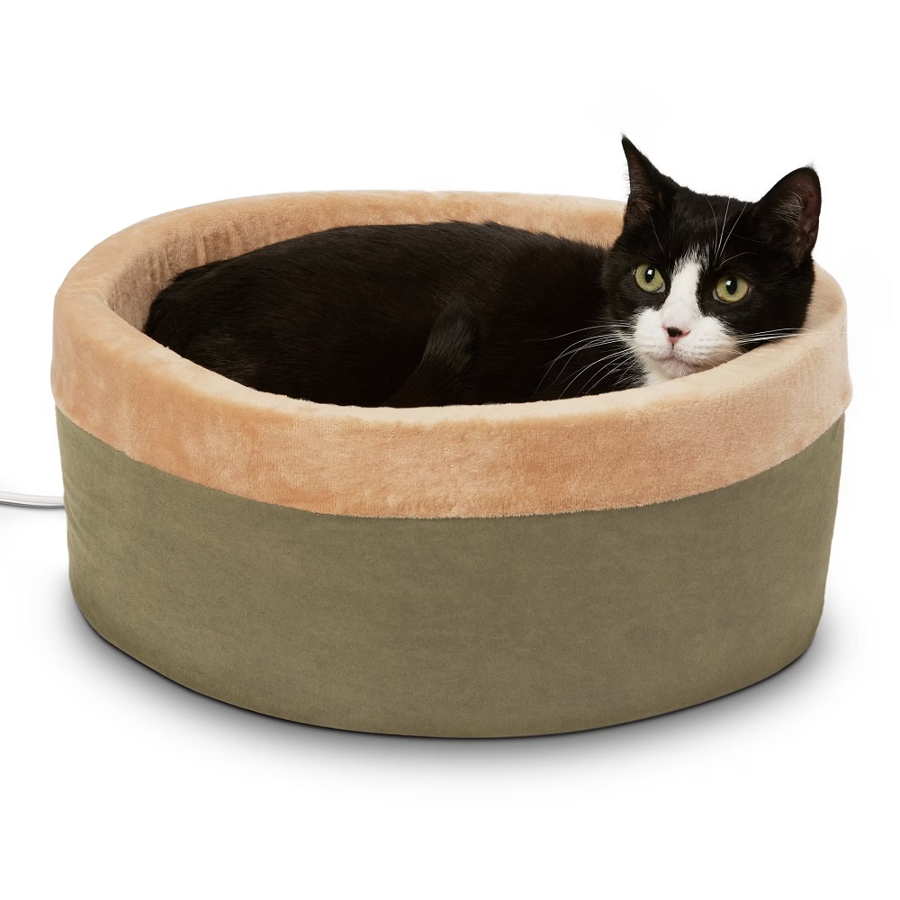 cat beds