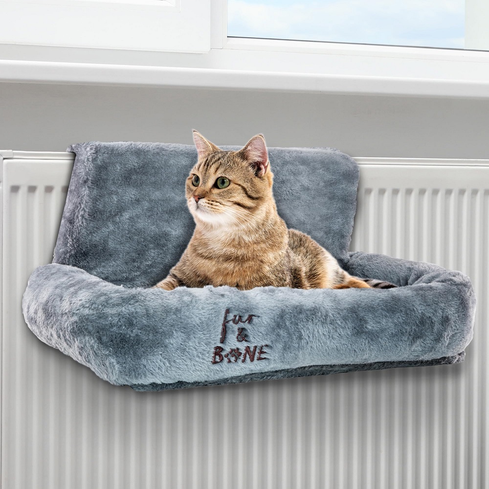 cat beds