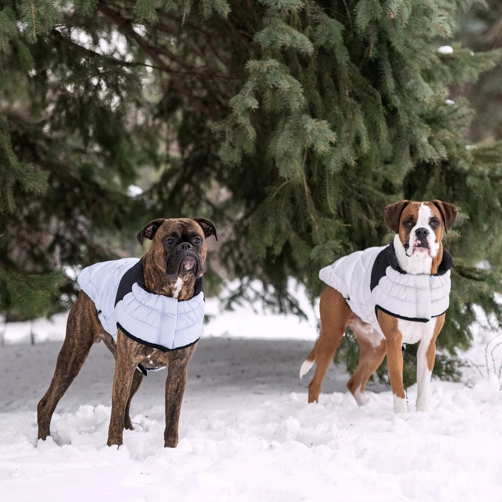 winter coats for dogs