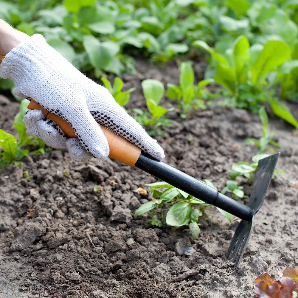 hand tools for gardening