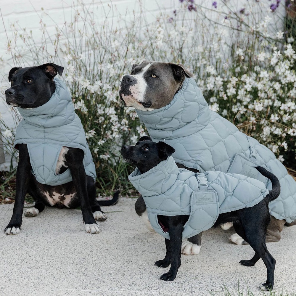 winter coats for dogs