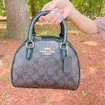 coach bags