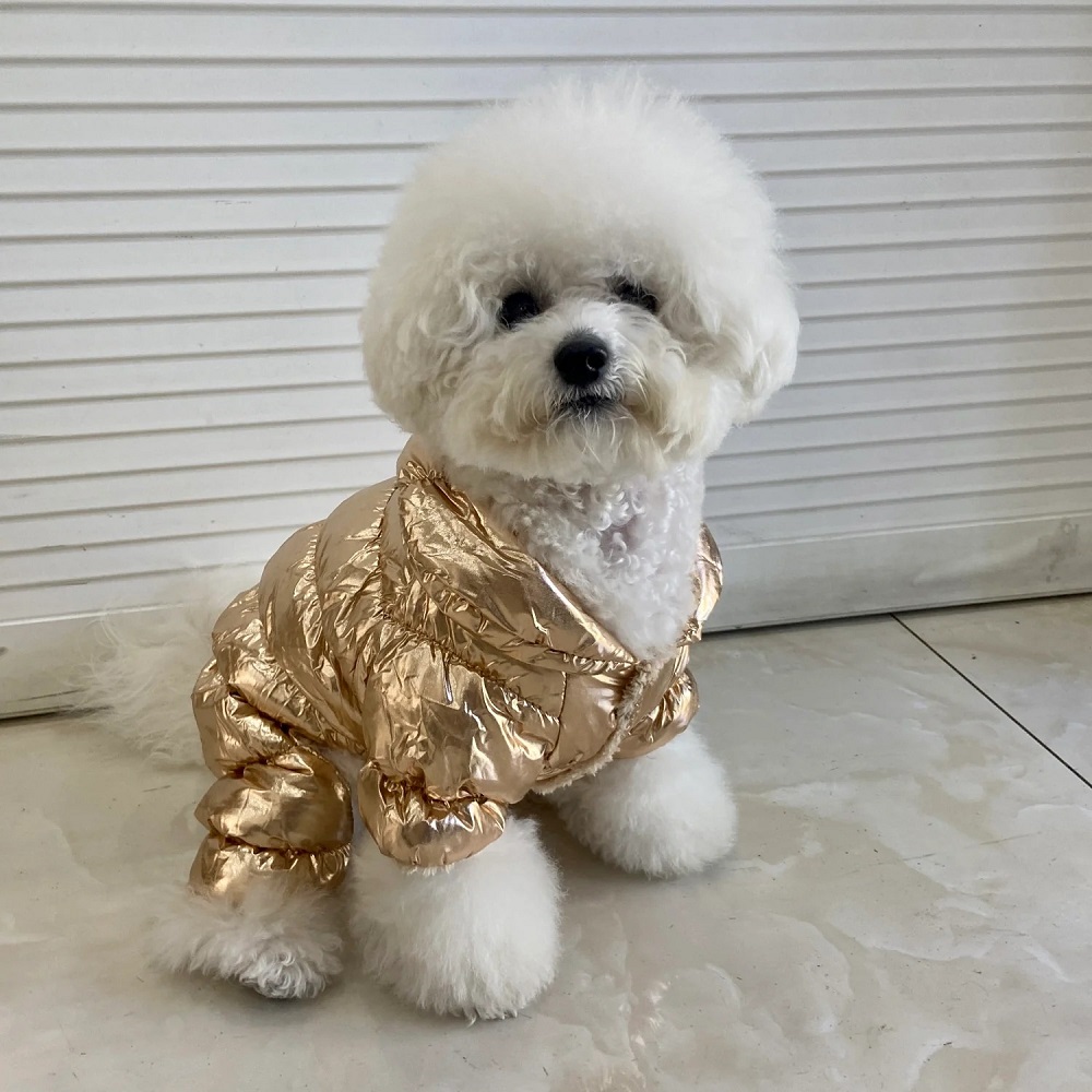 winter coats for dogs