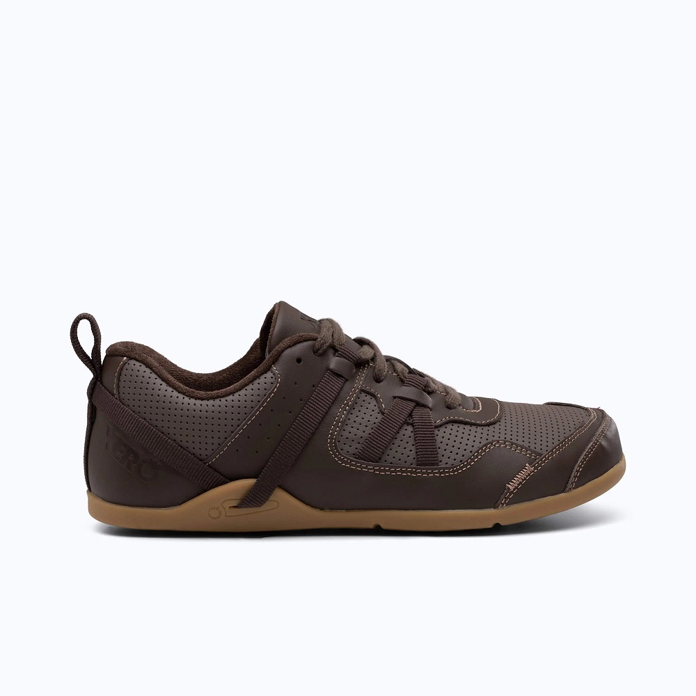 xero shoes
