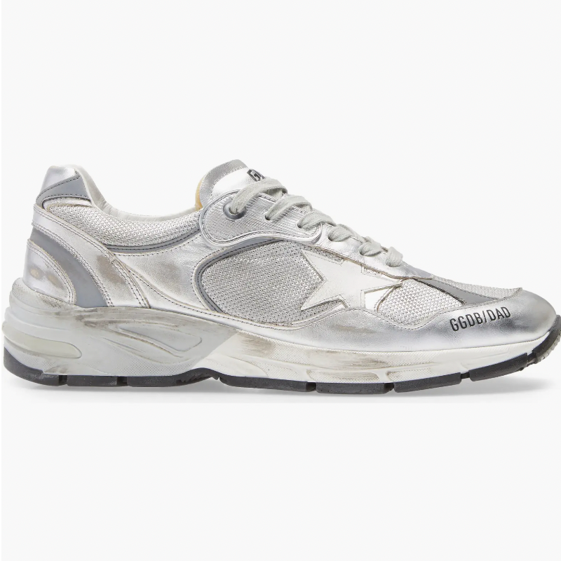 silver sneaker