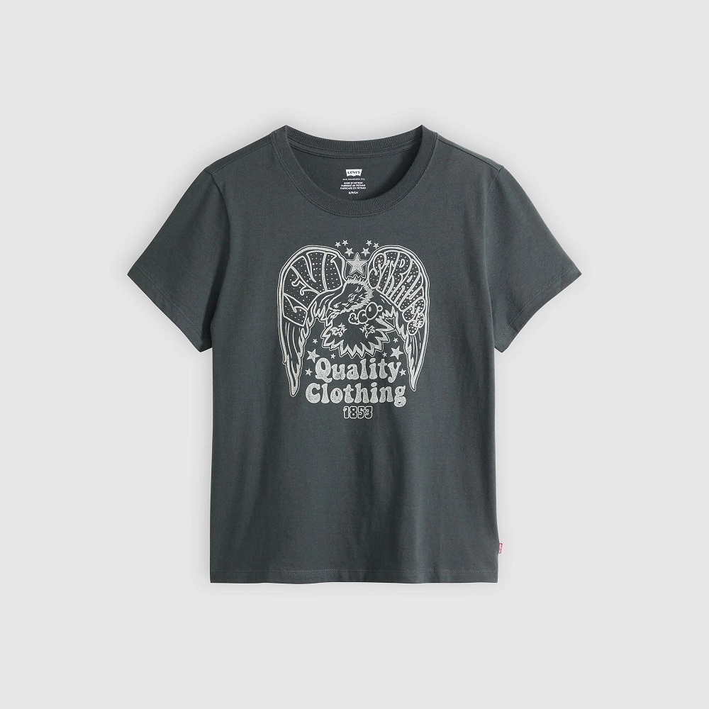 graphic t-shirts