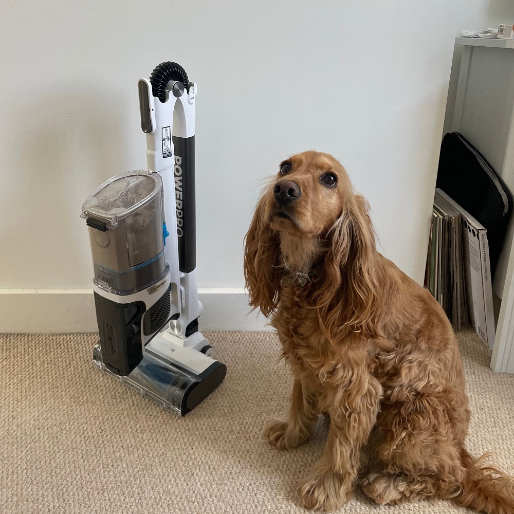best vacuum cleaners for pet hair