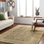 surya rugs