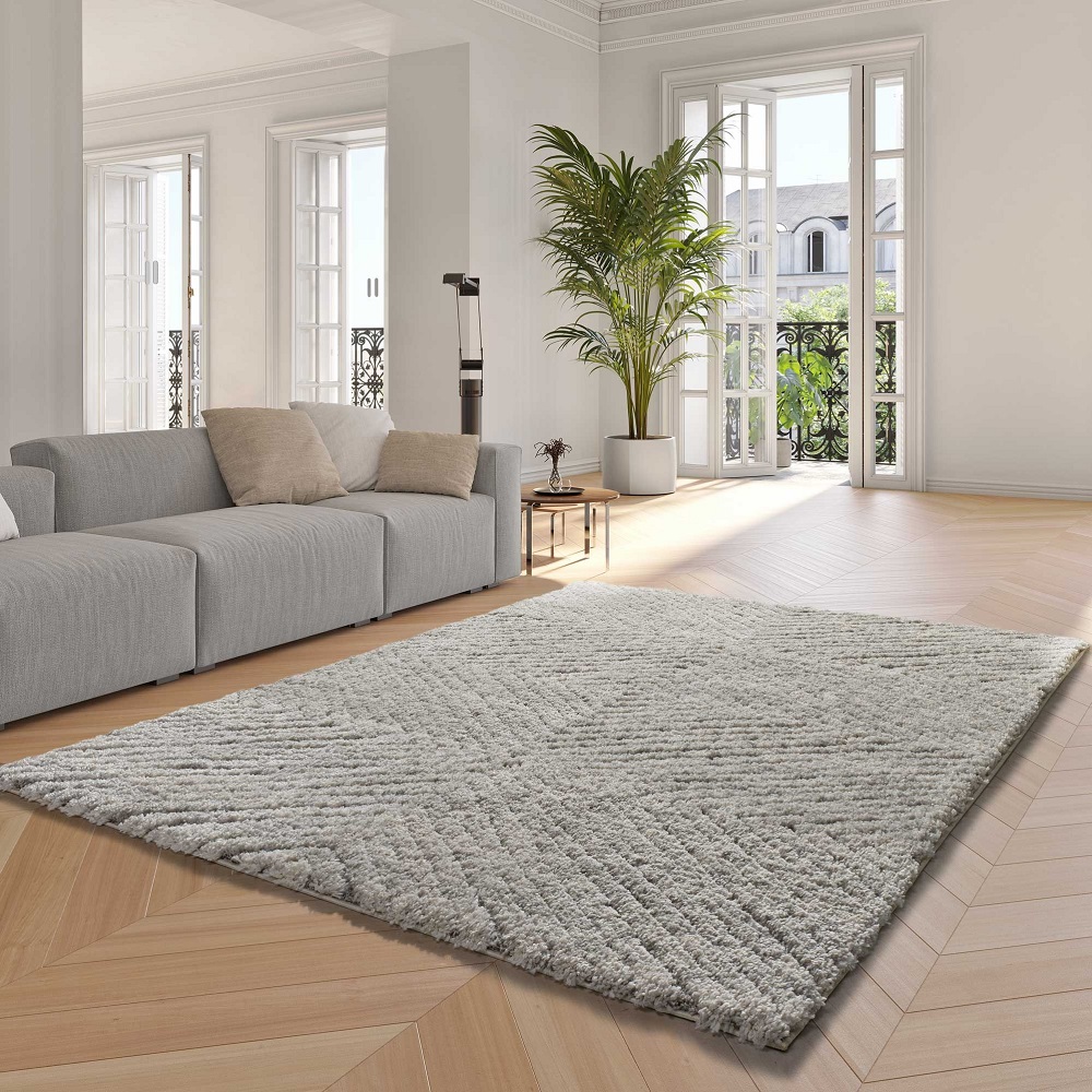 living room rugs