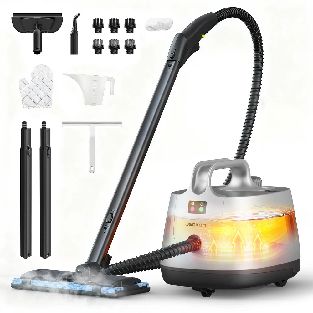 hand held steam cleaners
