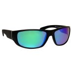 polarized sunglasses